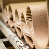 Paperboard Sleeves